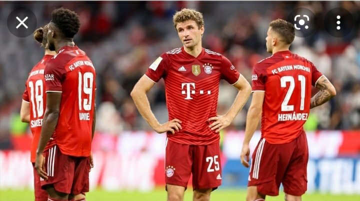 WILD BULLS tweet media