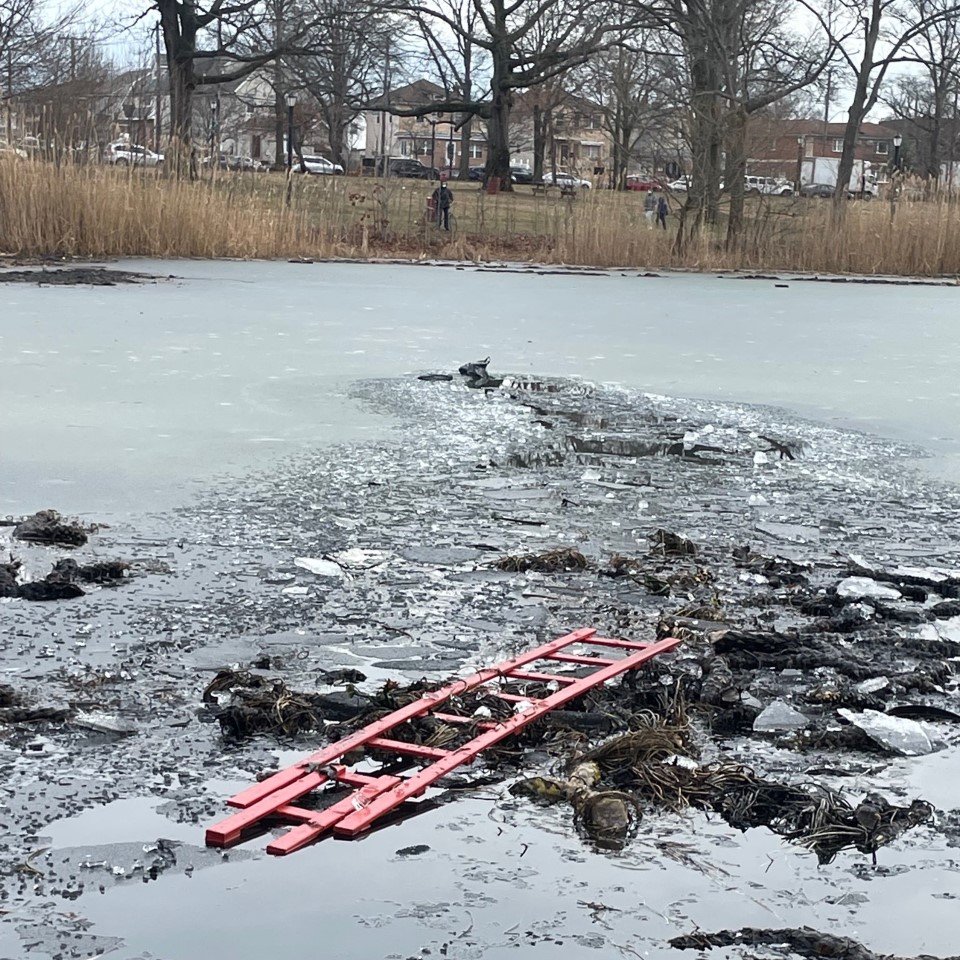 FDNY's tweet photo. FDNY members from #Ladder155 rescued two individuals from a frozen pond in Queens earlier this afternoon. Read more: https://t.co/acg3HBrold https://t.co/9TbhzDW525
