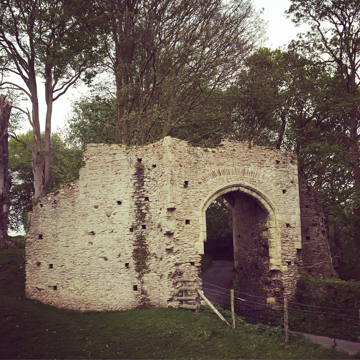 drmatthewgreen's tweet photo. 🧵 (1) Welcome to #Shadowhour. This week I'd like to ask you how a drink you may currently be abstaining from - once called 'the exterminator of the world's sorrows' - contributed to a medieval city gate being stranded in the green fields of Sussex? It's quite a tale... https://t.co/jk81cydiwI