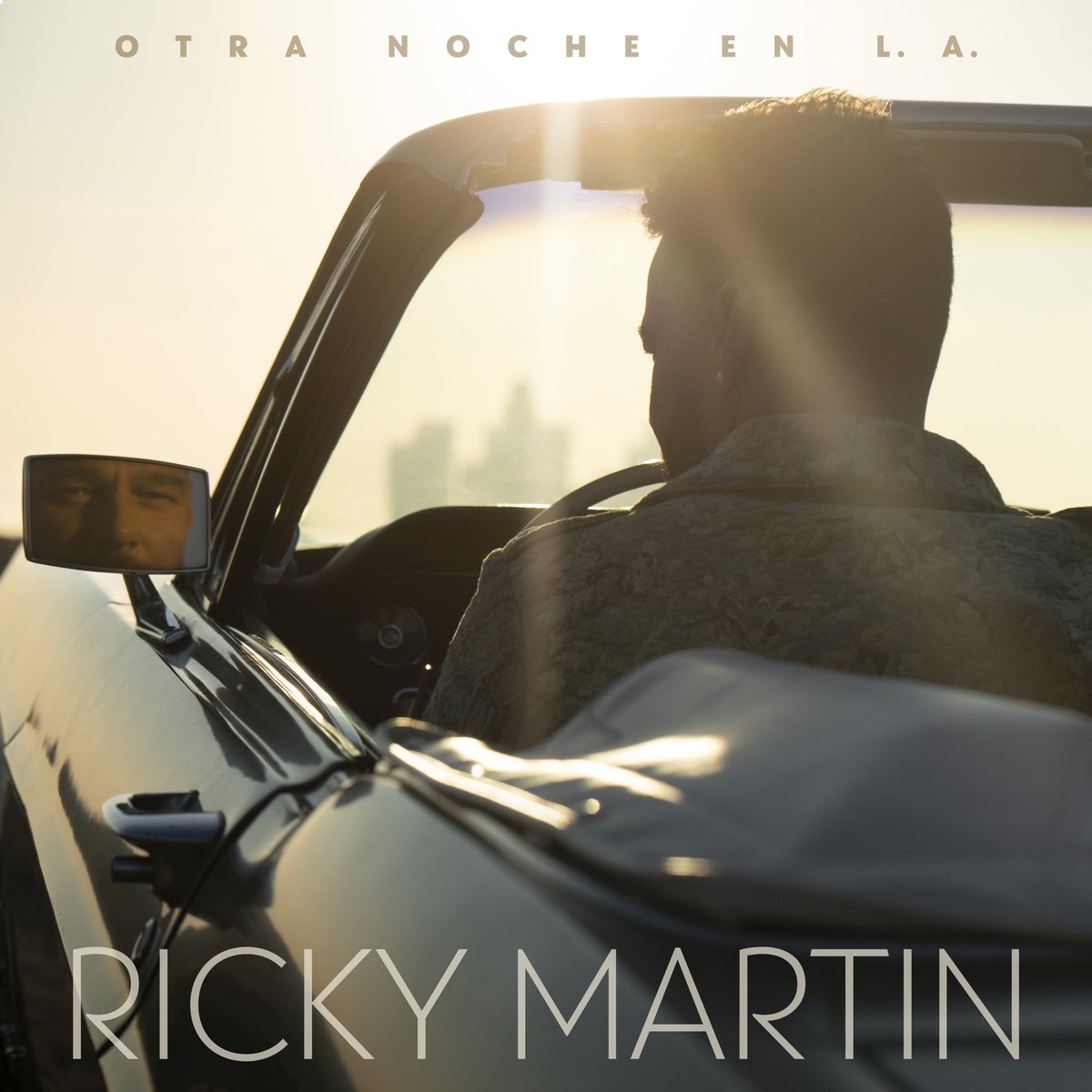 Ricky Martin tweet media