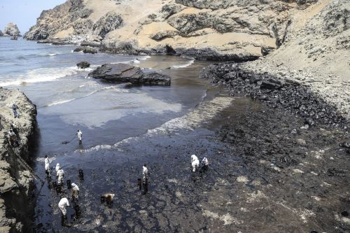 ArequipenaPower's tweet photo. Qué le pasa a Repsol que no asume su responsabilidad, contamina nuestras playas, asesina nuestra fauna, deja sin ocupación a nuestros pescadores, es en serio? Se está burlando de todo un país y no se hace cargo!!

#RepsolHazteCargo 
#Repsol 
#RepsolAsesinoEcologico https://t.co/2VWgw2UnvZ