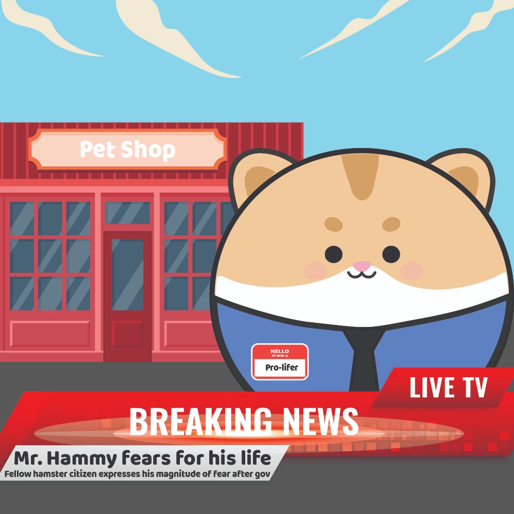 Roundles NFT | Roundleverse tweet media