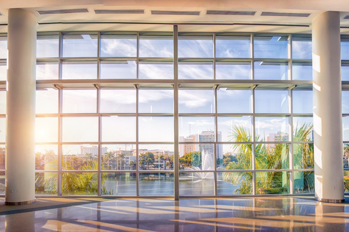 univmiami's tweet photo. Sunshine always finds its way at #umiami. ☀️🙌 https://t.co/q4SxqODzqp