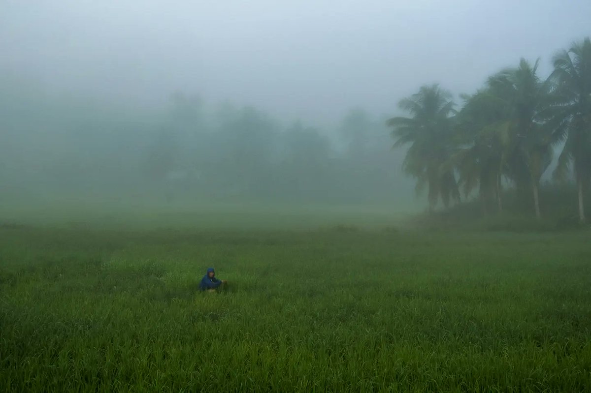 roilagarde's tweet photo. One foggy morning https://t.co/0IwTNzgLVN