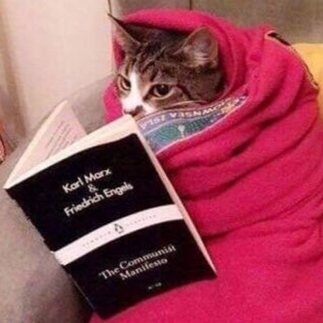 zigpol's tweet image. теперь на вопрос каково учиться на культурологии я буду показывать эту картинку