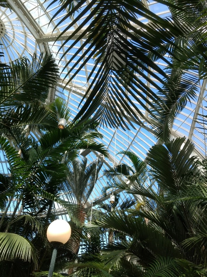 art2chgtheworld's tweet image. Get away from the bitter cold of winter and enjoy the lush green of the @ComoZoo Conservatory this weekend! Join the On-Location Drawing Group from 11:30am-1:30pm on Saturday, with lunch at Keys Café &amp;amp; Bakery. Email: tobersonstudios@gmail.com / Debra Ripp for more info! #artists