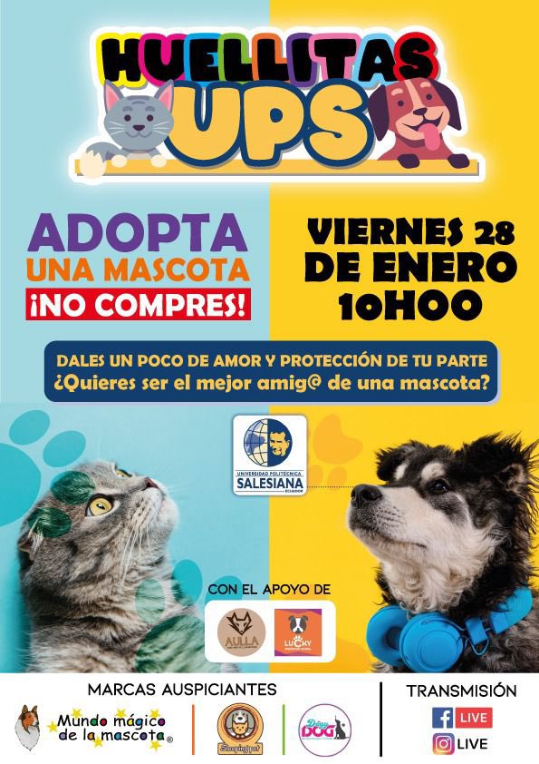 HotmailCando's tweet photo. Gracias por la invitación, estamos seguros que será un éxito  "Adopta una mascota no compres " 
Sleping pet creciendo y apoyando!
@gisella_bayona @cristachoinfo @gustavofigue9 @bethtorres77 @AESEE69 @LoroHomero @flacaguerrerog https://t.co/ERh29jOqYk