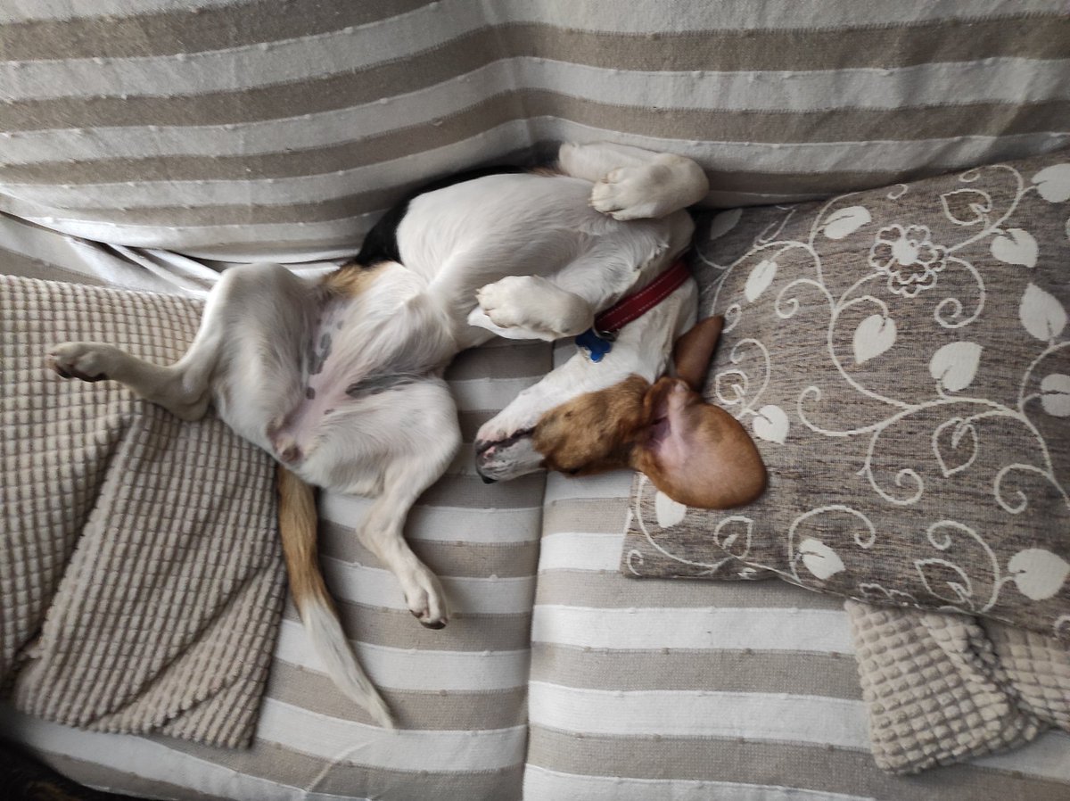 Cada noche el mismo drama para irnos a la cama...