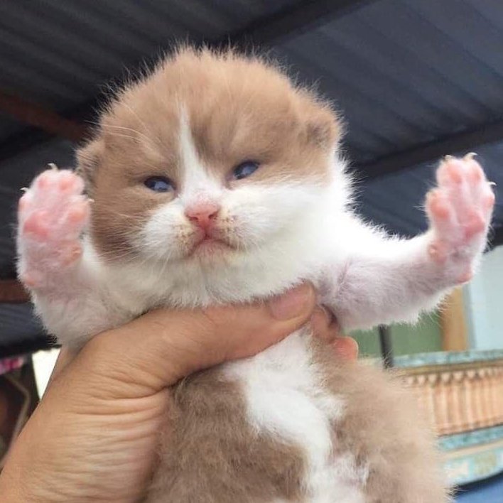 hwaiting ✊🏻
#Jungsu #정수