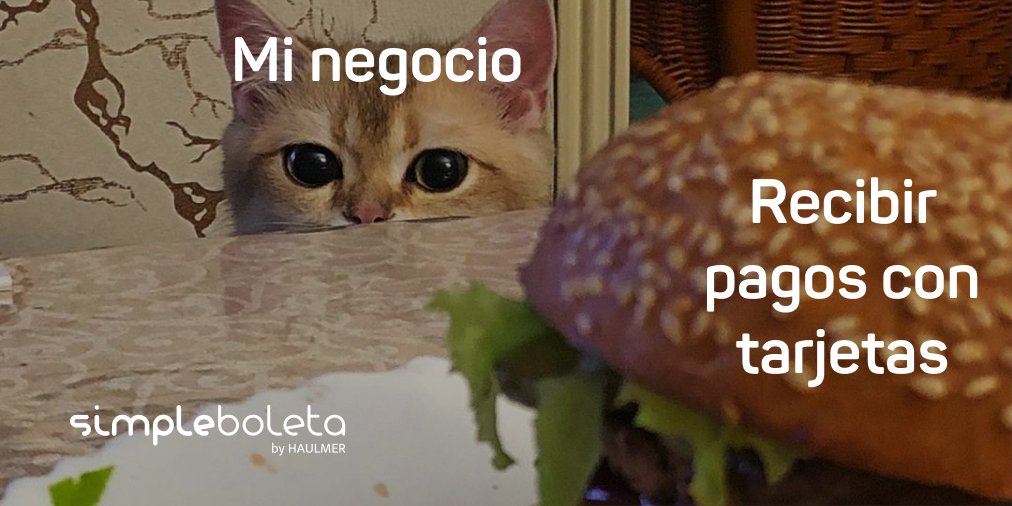 SimpleBoleta's tweet photo. Tú viendo cómo todos ya reciben pagos con tarjetas 👀😼
💳 Comienza recibir pagos con tarjetas con TUU. Si ya eres cliente Simpleboleta realiza el alta de comercio desde Espacio de Trabajo.
.
 #Simpleboleta #BoletaElectronica #Inventario #Catálogo #PuntoDeVenta https://t.co/1Did2NexrJ