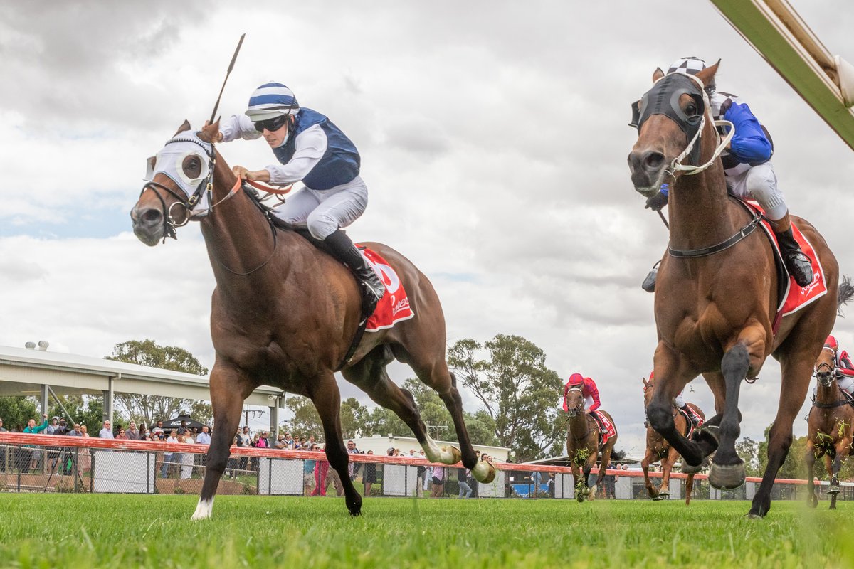 RacingSA's tweet photo. "Overall the track is in very good shape. Looking forward to betting at the meeting."

Good signs from @racing's @James_Jordan ahead of tomorrow's metro meeting at Gawler🌱📰

SPEED MAPS + TRACK REPORT | https://t.co/aGGaGGAuhN https://t.co/TnSCg4Kdr0