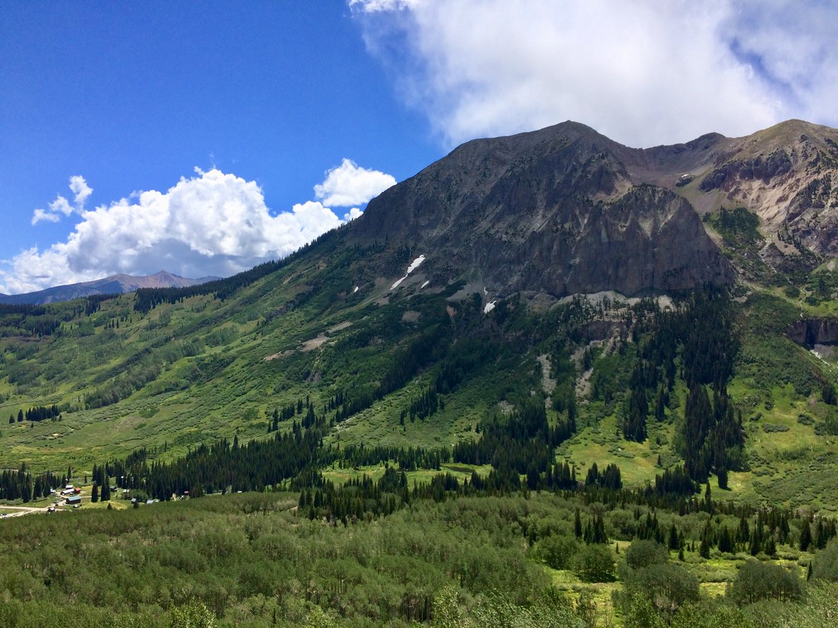 Will Petry tweet media