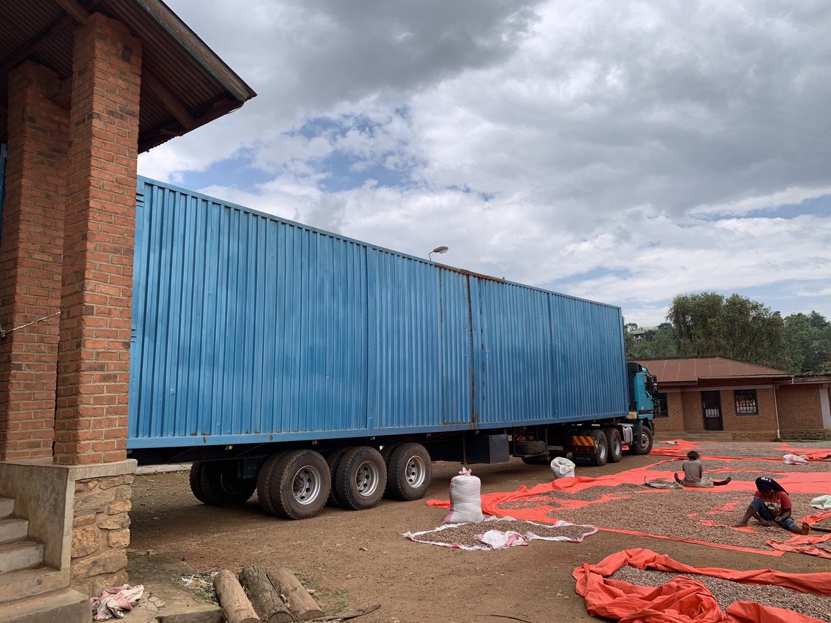 TSONGOKASEREKA1's tweet photo. We bring Congo Cocoa to the world https://t.co/3wGnNvbDqW