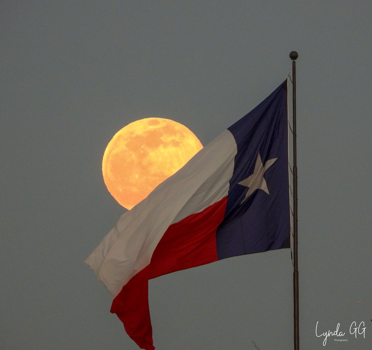lyndagg924's tweet photo. #DaybreakATX  "Full Wolf Moon Over Texas - God Bless Texas"    (1/17/2022) https://t.co/97hncrw0F4