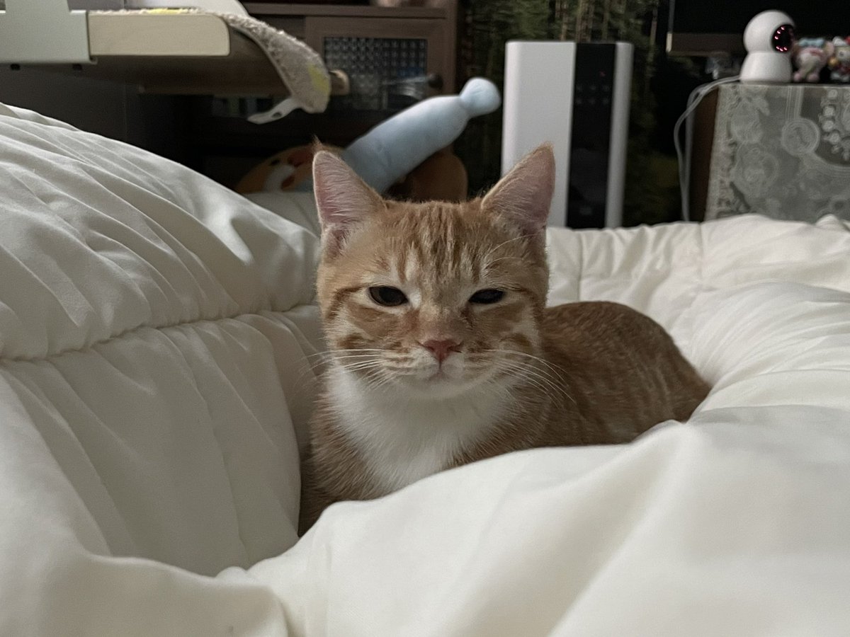 더 놀고싶은 동글이 ...