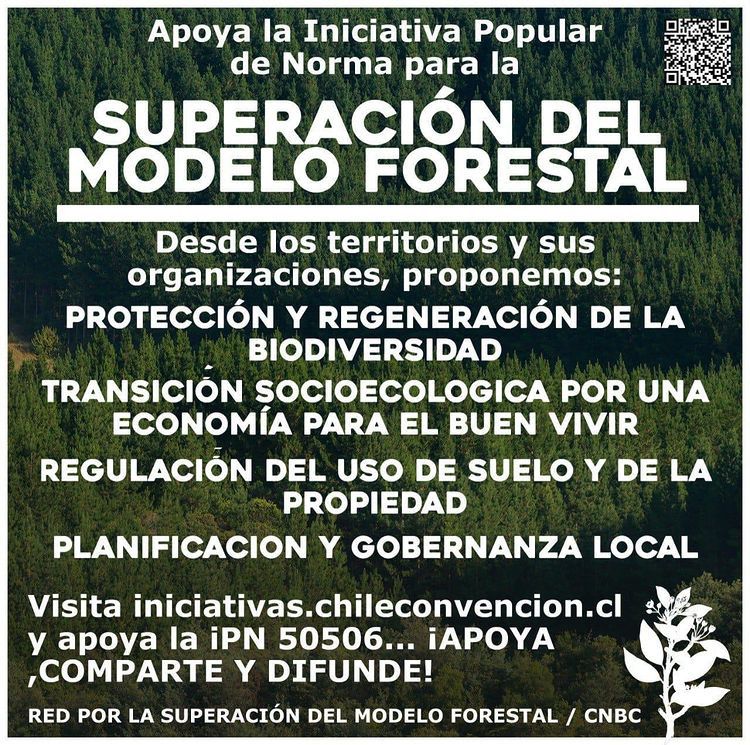 cnbbc21's tweet photo. "El Modelo Forestal chileno atenta contra los Derechos Fundamentales de la Naturaleza y de la Humanidad. Necesitamos 15000 firmas para superar el extractivismo" https://t.co/fXLrqmtgFI