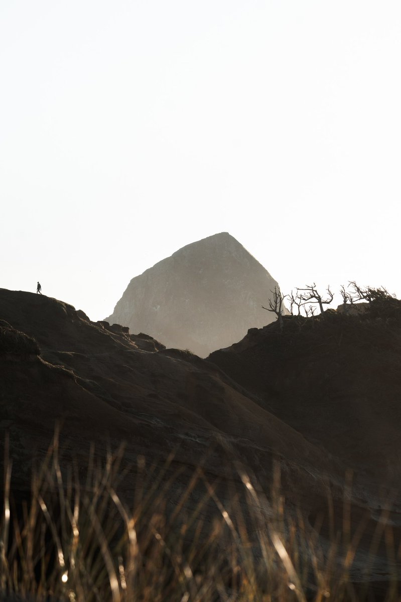 OscarSloane tweet media