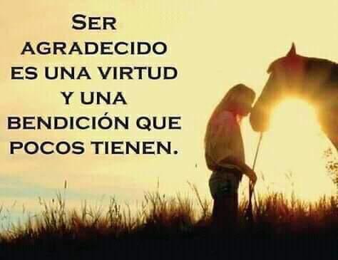 yosoydespertar tweet media