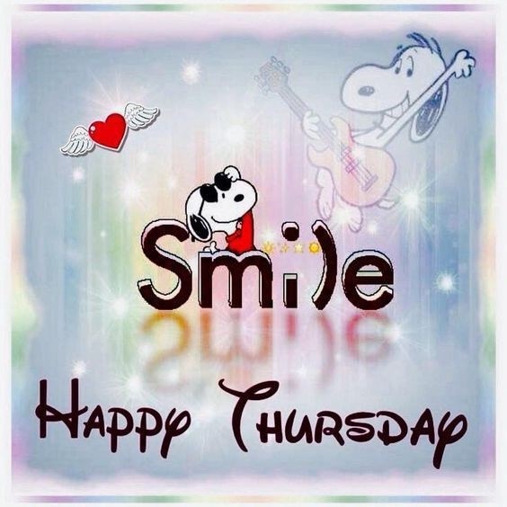 SnooksStoned's tweet photo. #HappyThursday #Smile https://t.co/3xI76FTnd4