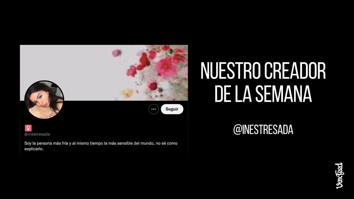 VoxFeed tweet media