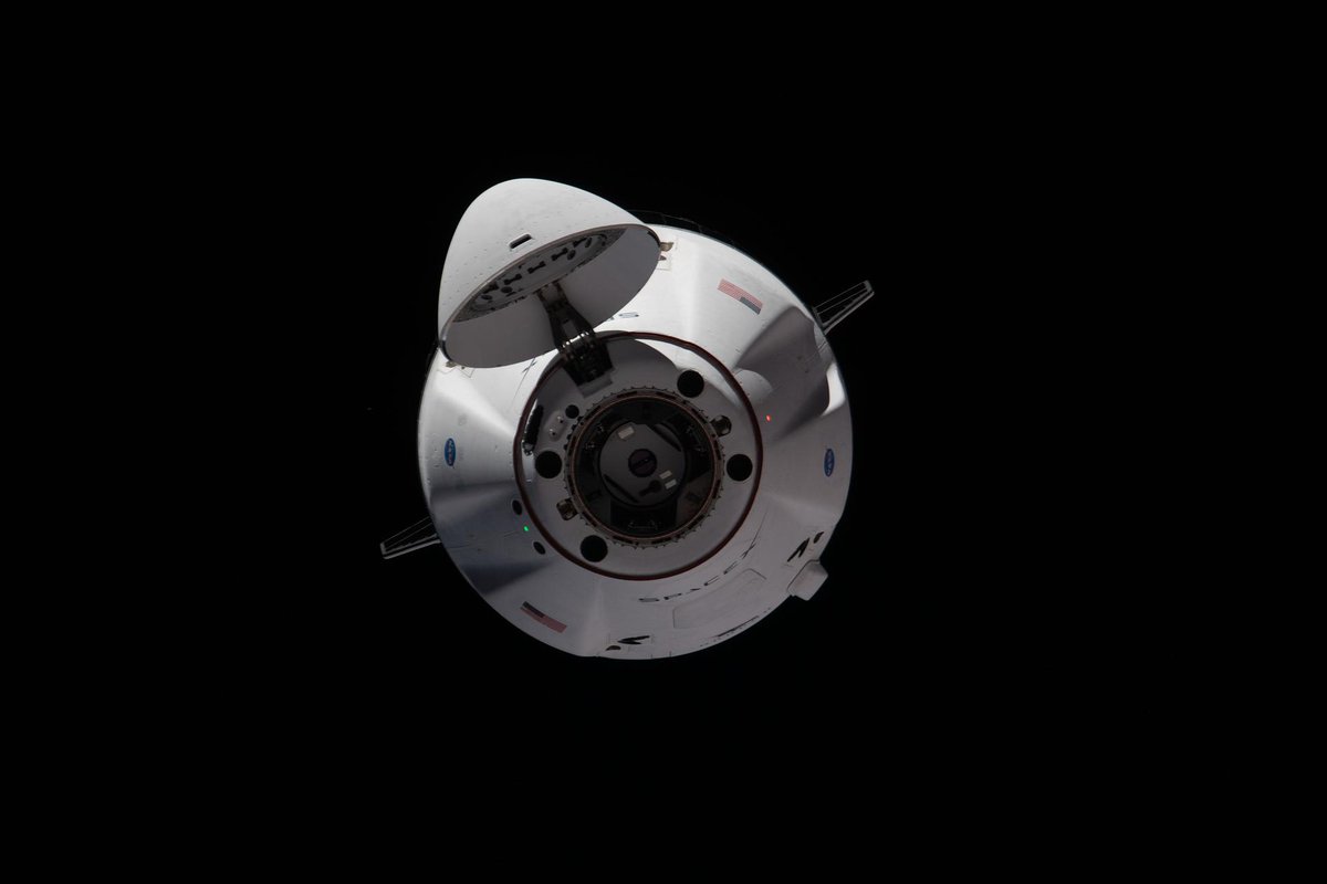 An image of SpaceX's Cargo Dragon spacecraft as peeped from tha top, wit its nozzle open up in preparation fo' docking