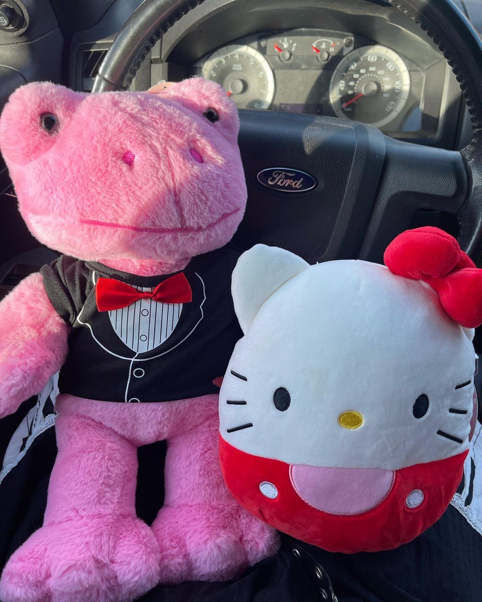 ih4teteeth's tweet photo. pink frog + hello kitty squishmellow https://t.co/wvSJF4oxLv