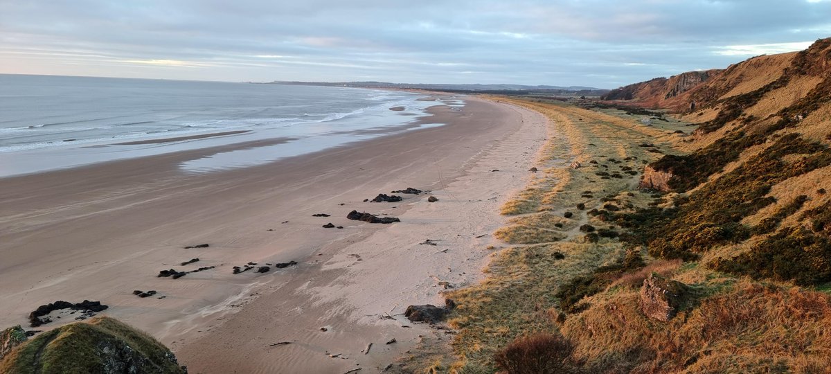 DocHarleyMD's tweet photo. Meanwhile in Scotland. Sun is rising for another day at St Cyrus Beach, illuminating all the beautiful beach morphology. Thanks to jeadamsuk for your contribution on the #CoastSnap App 
@MontroseSnap @DynamicCoasts @Visit_Angus https://t.co/jTBDyqQHV8