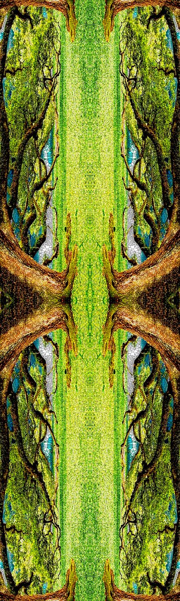 Artvisionᴺᶠᵀ tweet media