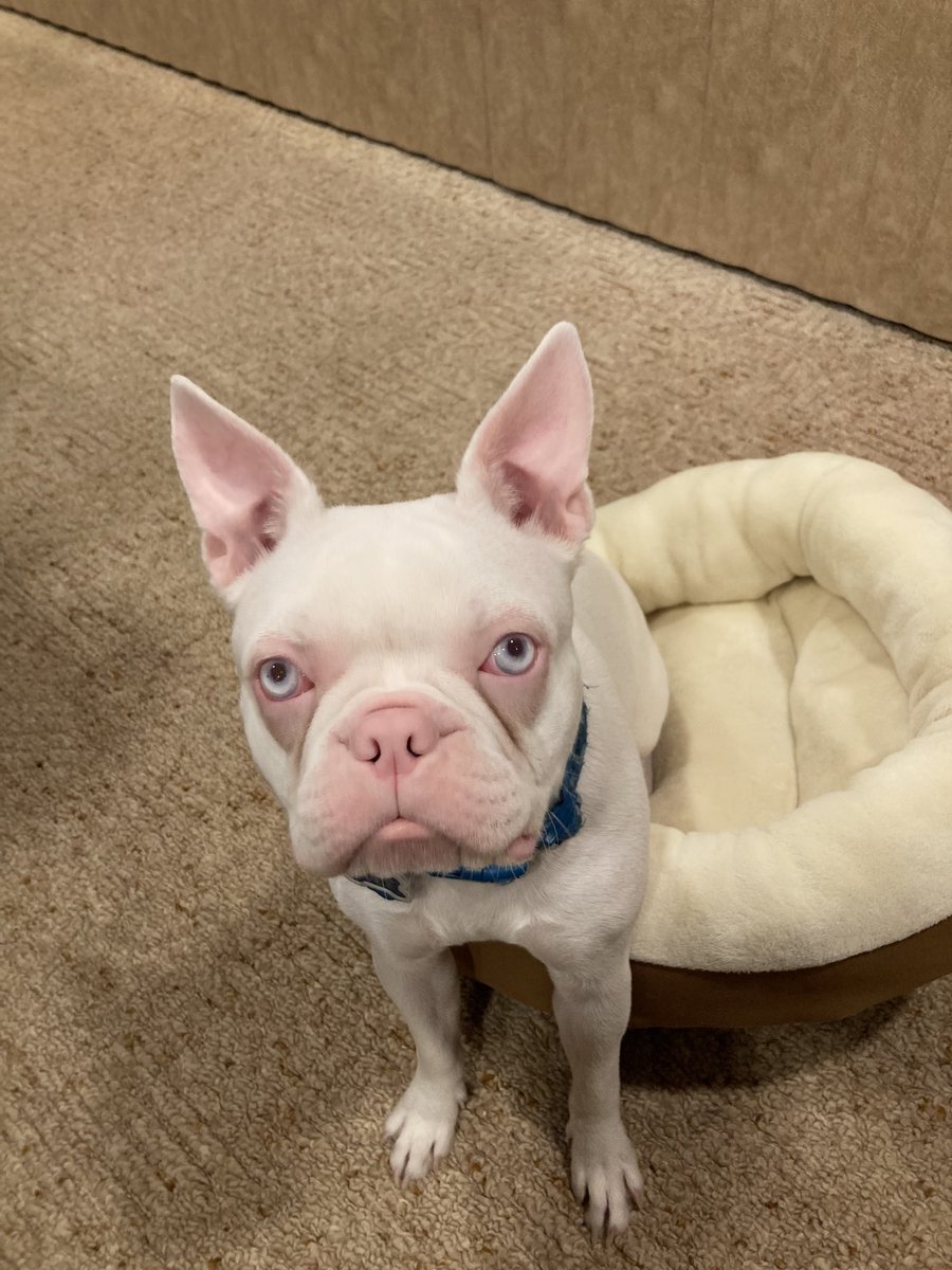 I don’t think I’ve shared a picture of this little girl. One year old.