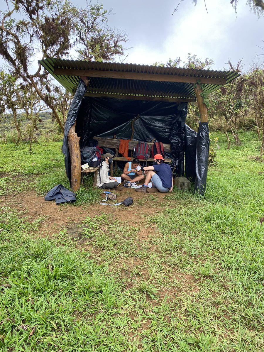 Jaime A. Chaves tweet media