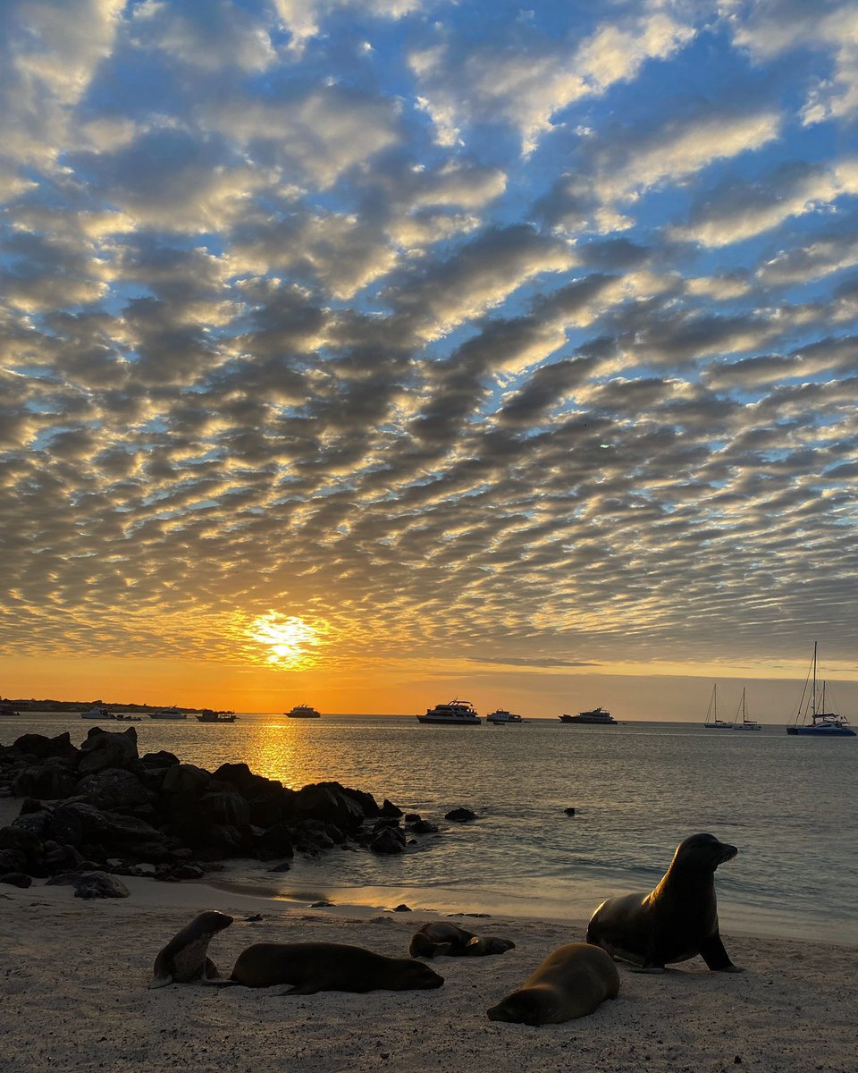 Jaime A. Chaves tweet media