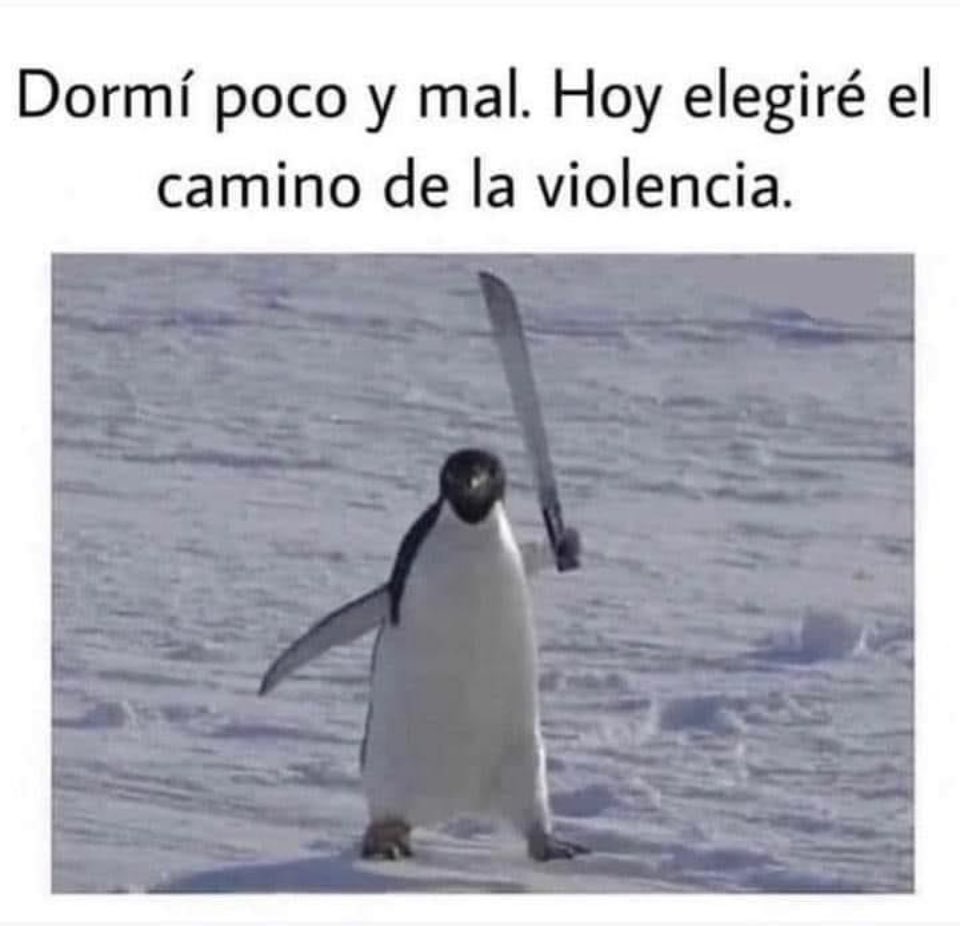 DomiinguezAre's tweet photo. @skymx @Vetvmexico  siguen sin atender mi reporte https://t.co/wfYeayoJ2u