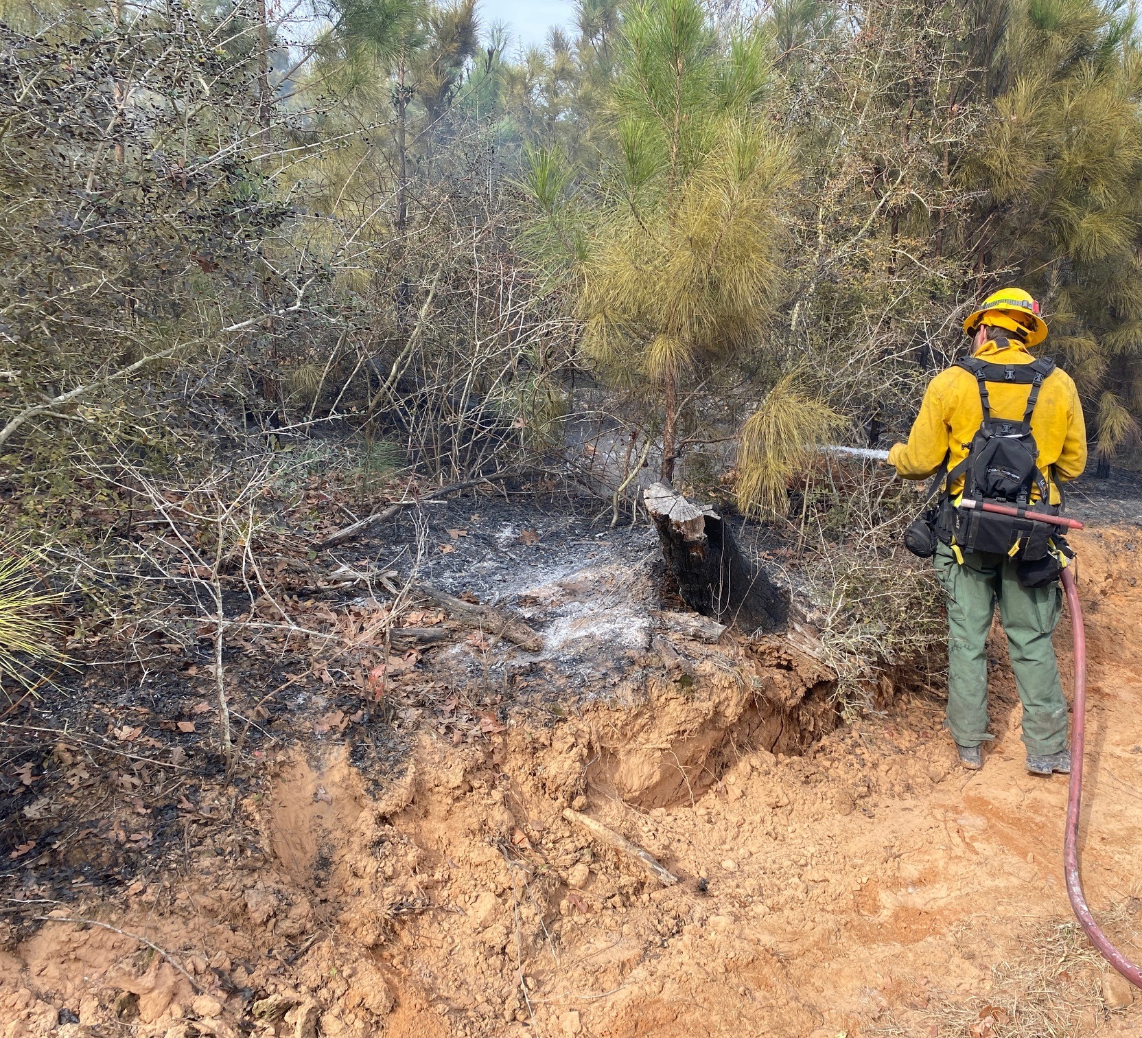 A firefighter sprays water on a smoldering stump on January 20, 2022.