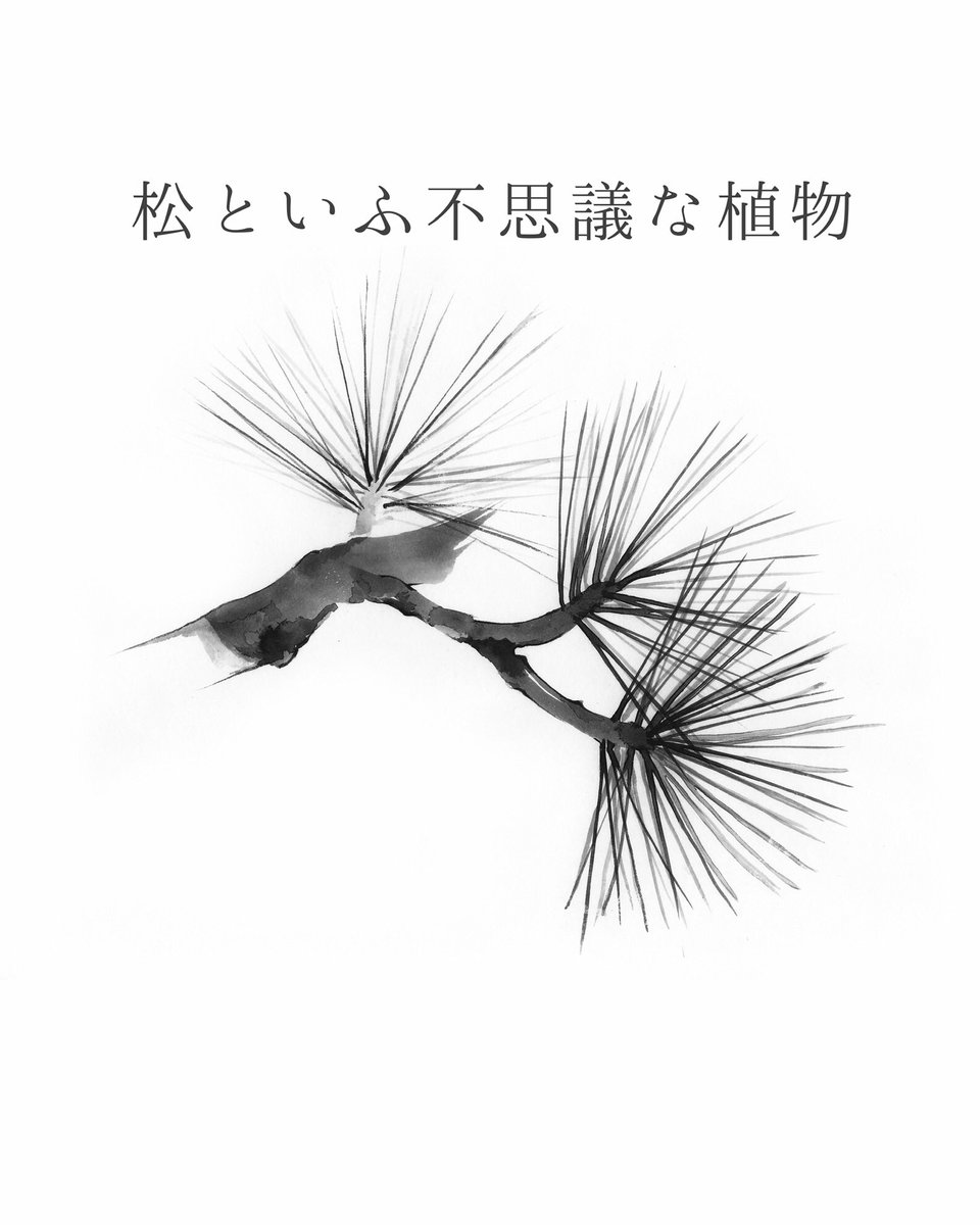 Twoucan 松 の注目ツイート イラスト マンガ