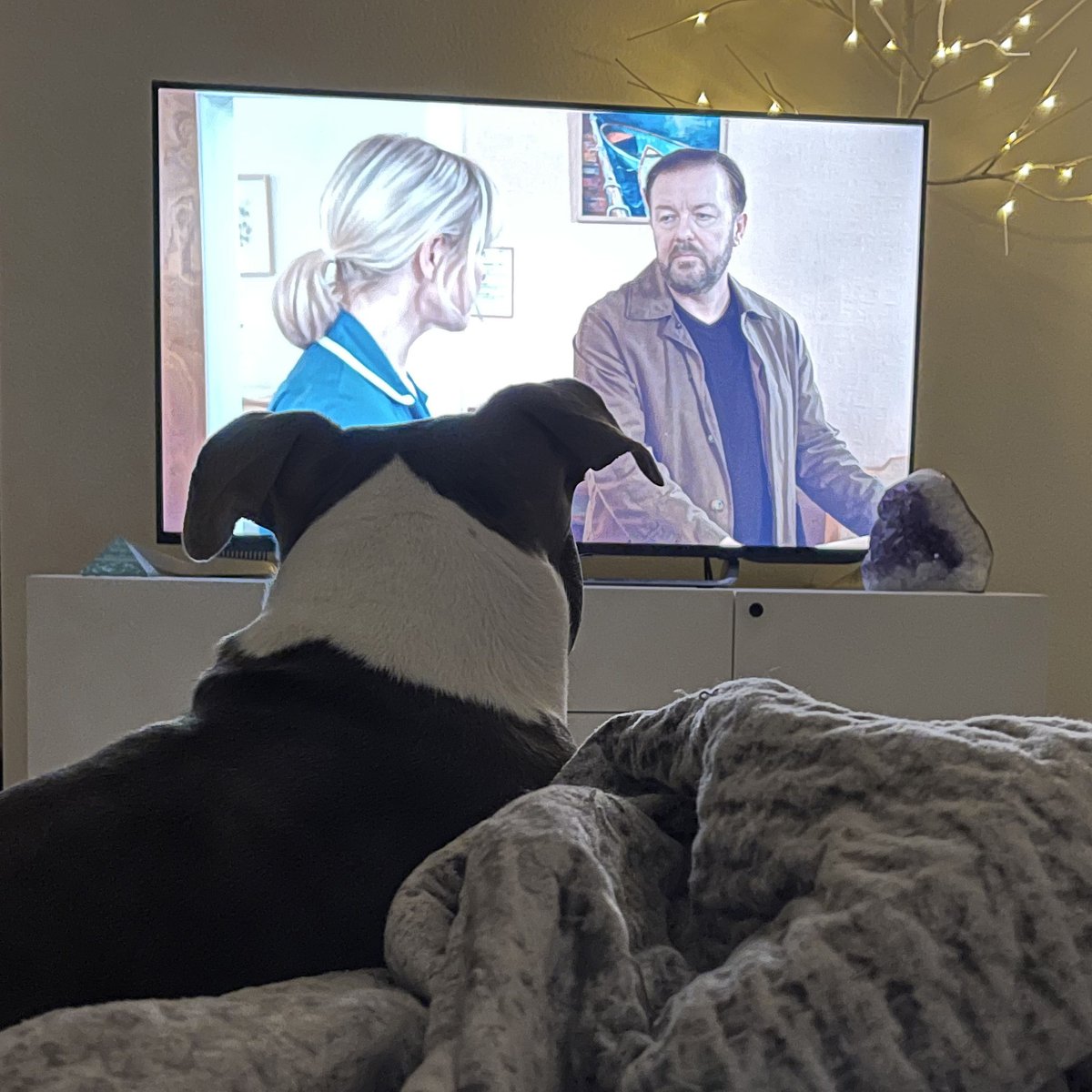 VeganND's tweet photo. @rickygervais Absolutely Brilliant.♥️ Thank you so much for creating such a wonderful series. It made me laugh. It made me cry. I will most definitely need to re-marathon with my pupper—he loved it, too! https://t.co/a9X99KTKMm