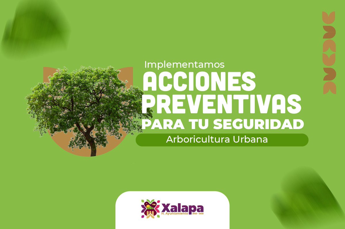 El <a href="/AytoXalapa/">Ayuntamiento de Xalapa</a> implementa medidas preventivas para seguridad de sus habitantes, por ello el Departamento de Arboricultura Urbana retirará un ejemplar de jacaranda en proceso de pudrición que puede ocasionar un accidente en la Av. Ávila Camacho. 

Dictamen: bit.ly/3GPbqjq