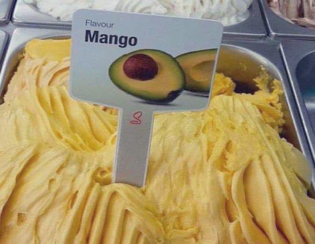 neural net guesses memes tweet media