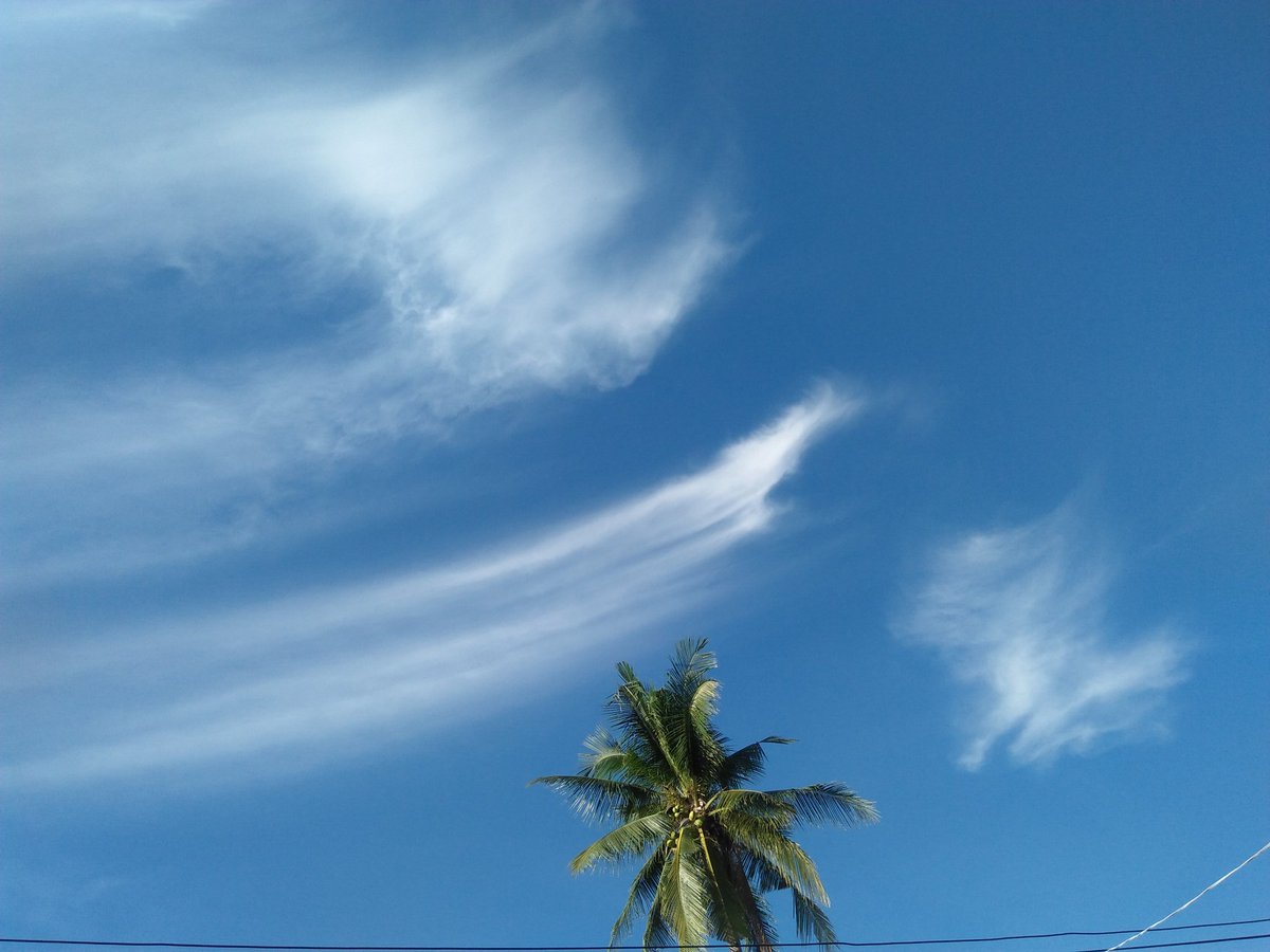 อรุณสวัสดิ์นะครับ ขอให้วันนี้เป็นวันที่สดใสตลอดวันของเธอเลยนะครับคนเก่ง