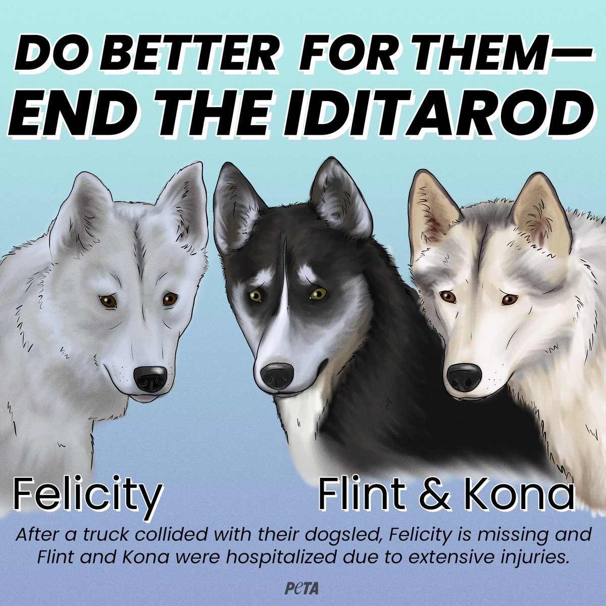 peta's tweet photo. After a truck ran into a musher's dogsled team yesterday, Noddy was killed, Felicity went missing, and Flint and Kona had to be hospitalized.

Anyone who TRULY respects, cares about, and loves dogs should know that dog sledding is dangerous and cruel. https://t.co/YdUV7aTEKZ