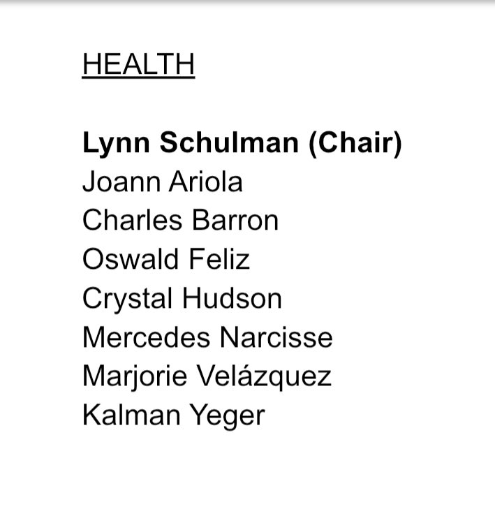 Lynn Schulman 舒曼琳 tweet media