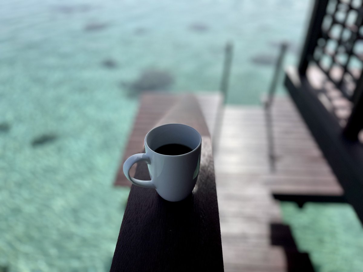 divergenttravel's tweet photo. How’s your Friday morning coffee view?

Ours isn’t bad at the Hilton Moorea Lagoon Resort and Spa
@HiltonMoorea

@TahitiTourism
 
@TahitiTourisme
 #loveTahiti #HiltonMoorea #Moorea #LuxuryTravel https://t.co/AWRLAxdryt