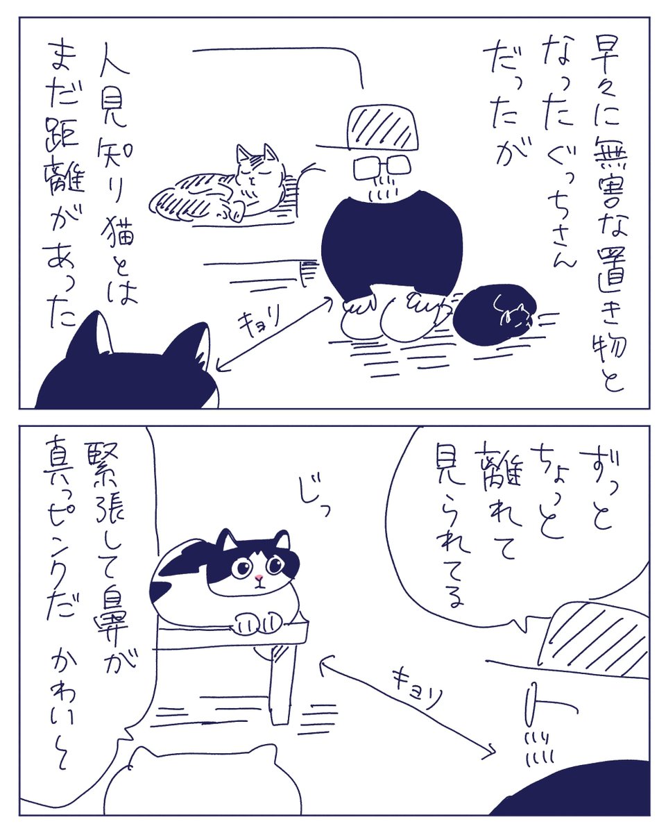 ③人見知り猫 