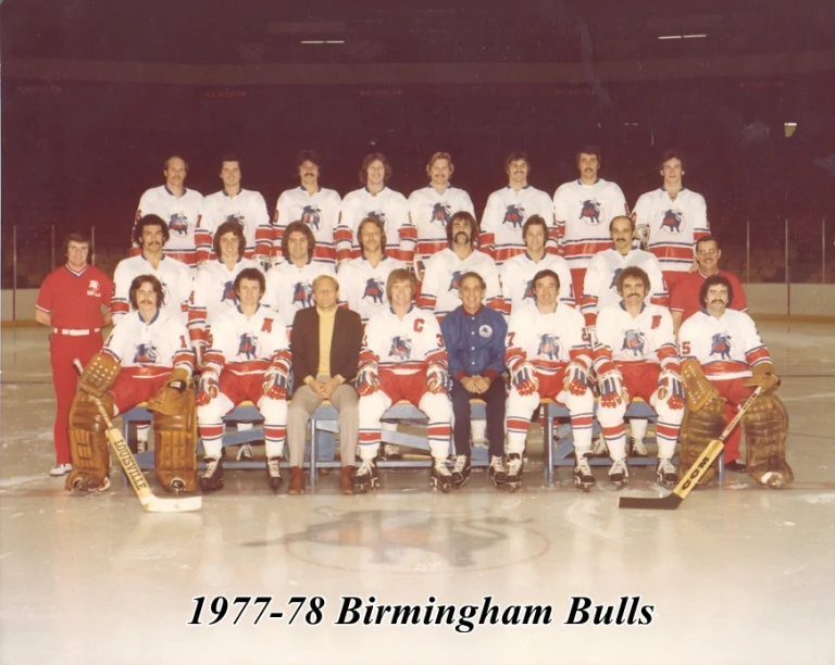 #ToughGuyThursday The 1977-78 Birmingham Bulls - one of the toughest hockey teams ever assembled (includes Frank 'Seldom' Beaton, Gilles 'Bad News' Bilodeau, Steve 'Mental Case' Durbano, Dave 'Killer' Hanson, Ken 'The Rat' Linseman)