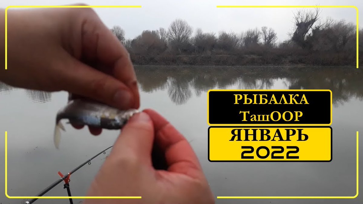 TemurKim's tweet photo. Рыбалка на реке Чирчик 5 января 2022 года. Организация охоты рыболовов ТашООР.

https://t.co/nTDs5HK87X

#рыбалка #чирчик #рыбалканачирчике #рыбалканасырдарье #рыбалкавташкенте #узбекистан #сырдарья #рыбалкавузбекистане #рыбалкавсырдарье #сирдарья #рибалка #sirdarya #uzbekistan https://t.co/pGIzASf5bN