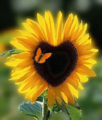 ⓙⓝ ʝɛt_ռɛա (@jet_new) on Twitter photo ┗━┓༆ #Lily
┗━┫🔷 #TMLILY
┗━┛༆
┏━┓🔶<a href="/Lily_Tmlily/">°˚♡❀ Lily ❀♡˚°</a>
┃╋┃༆ <a href="/LiliBodo/">🌸.•° Lily #TMLILY °•.🌸#MEL_LILY</a>
┗━┛🔷<a href="/V2_N_St0/">Vanessa ™#MGWV</a>
━━┛༆ <a href="/Bilal123x/">BILAL ✨🌐</a>
━━┛🔶<a href="/SergioA60798547/">Sergio</a>
┏━┓༆ <a href="/SiscoMGWV/">🔶️Sisco #1DDrive 113k🔶️</a>
┃╋┃🔷@oce2005
┗━┛༆ <a href="/jet_new/">ⓙⓝ ʝɛt_ռɛա</a>
┃ 🔷<a href="/insaurraldeh/">⭐POLI⭐ #MGWV⭐</a>
┗┻━༆ <a href="/llx1llv/">M</a> ┗━┓༆ #Lily
┗━┫🔷 #TMLILY
┗━┛༆
┏━┓🔶<a href="/Lily_Tmlily/">°˚♡❀ Lily ❀♡˚°</a>
┃╋┃༆ <a href="/LiliBodo/">🌸.•° Lily #TMLILY °•.🌸#MEL_LILY</a>
┗━┛🔷<a href="/V2_N_St0/">Vanessa ™#MGWV</a>
━━┛༆ <a href="/Bilal123x/">BILAL ✨🌐</a>
━━┛🔶<a href="/SergioA60798547/">Sergio</a>
┏━┓༆ <a href="/SiscoMGWV/">🔶️Sisco #1DDrive 113k🔶️</a>
┃╋┃🔷@oce2005
┗━┛༆ <a href="/jet_new/">ⓙⓝ ʝɛt_ռɛա</a>
┃ 🔷<a href="/insaurraldeh/">⭐POLI⭐ #MGWV⭐</a>
┗┻━༆ <a href="/llx1llv/">M</a>