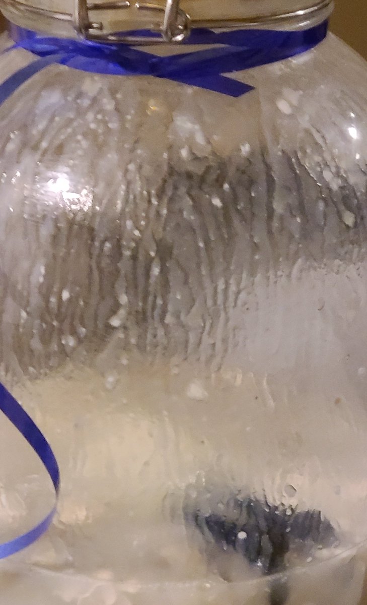 a years worth of semen made a glopping noise as it flowed endlessly onto joe biden