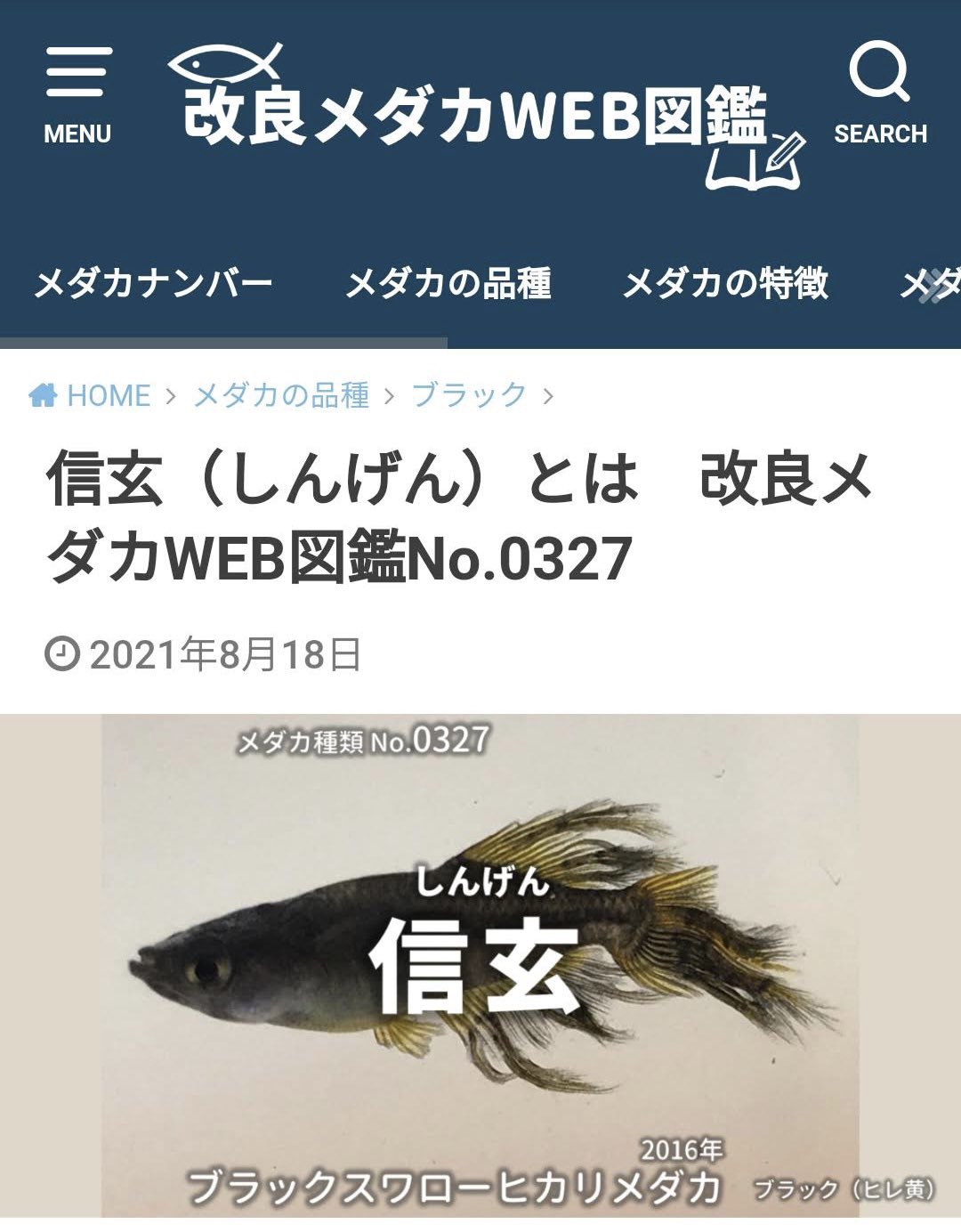 تويتر めだかの館 公式 大好評 100年メダカ22発売中 على تويتر 改良メダカ入門 分かりにくい 改良メダカの種類にナンバーを 改良メダカweb図鑑 T Co Bpagajve7r T Co Nrrydbbvkw