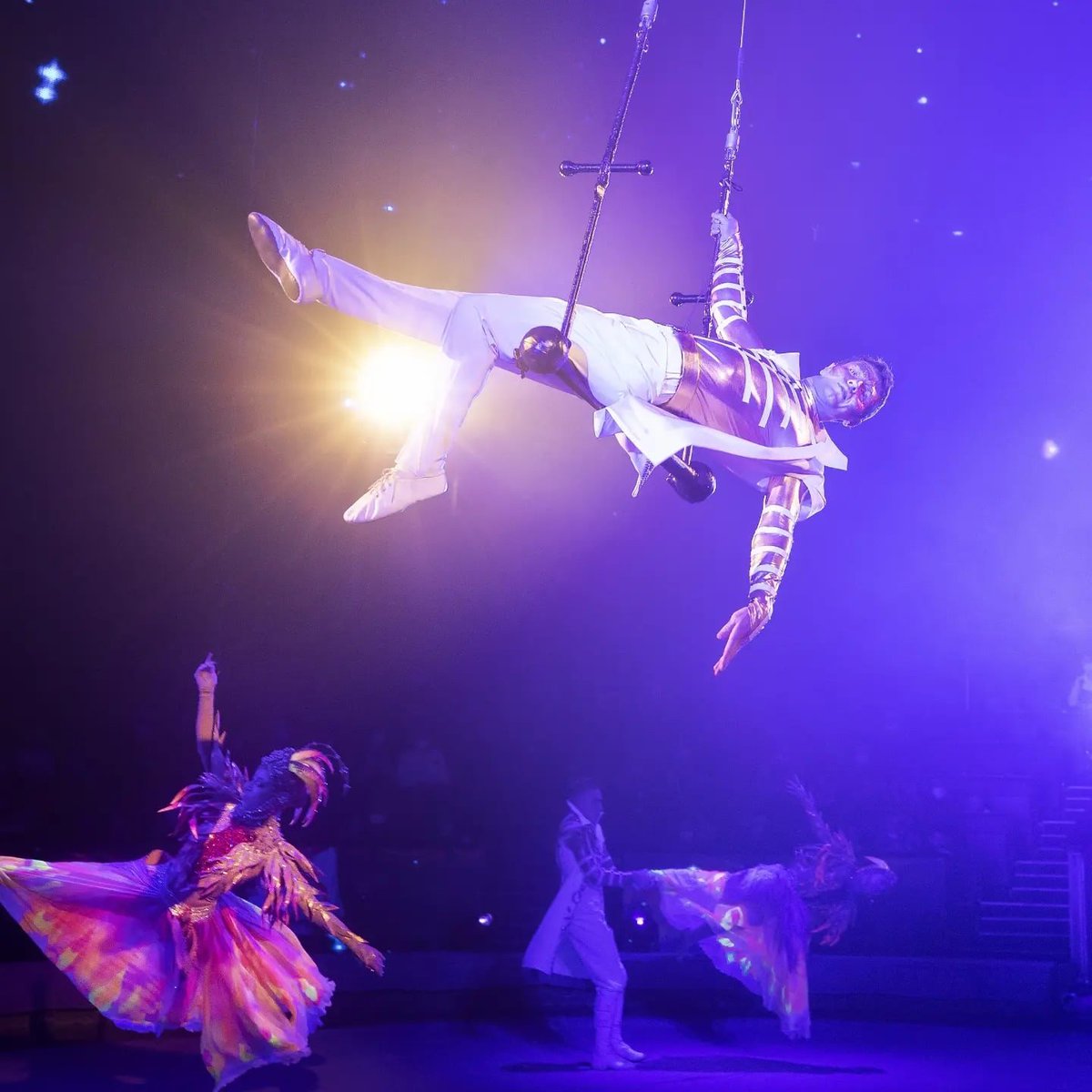 Ослепительные жар-птицы на манеже Большого Московского цирка💥🤩

Спешите увидеть своими глазами! Только до конца января - спектакль «Вероятно невероятная сказка».

🎟greatcircus.ru