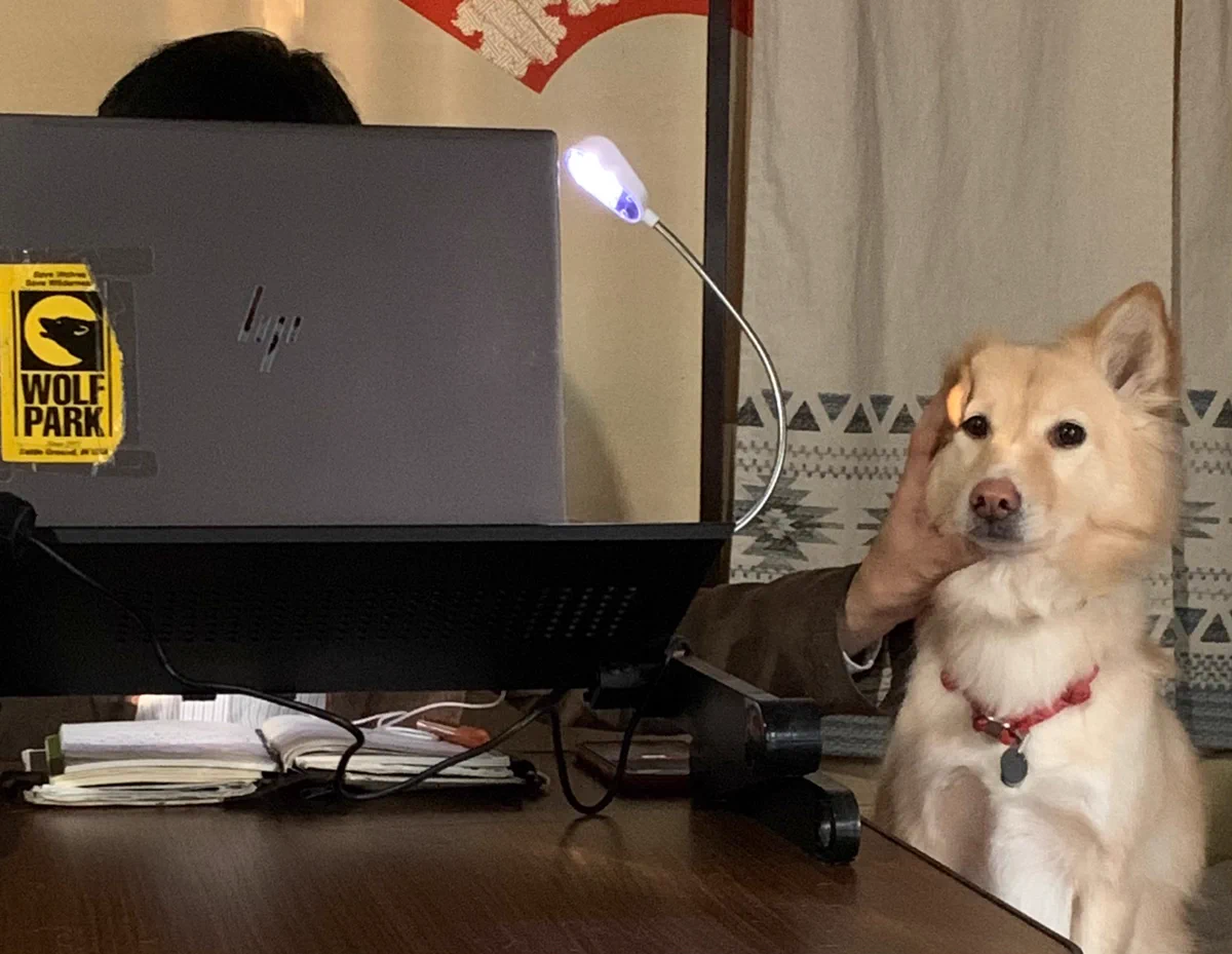zoom会議のあるある！カメラに写っていない場所では犬が‪w