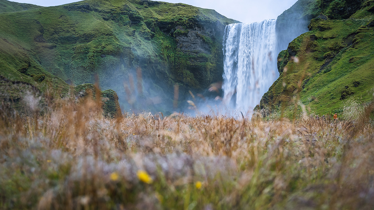 Skogafoss - The most popular waterfall in Iceland 🇮🇸
Iceland 4K: youtu.be/tSBJUdZU5Yw

#relaxationfilmlounge #stayandwander #thegreatplanet #earthoutdoors #nature_perfection #instadaily #instanature #lifeiscolorful